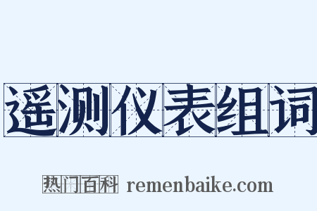遥测仪表组词是什么意思的图片